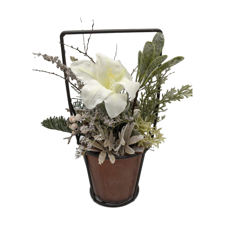 Freigestellt Wintergesteck Tischgesteck Amaryllis Mistel Beeren Gräser weiß grün