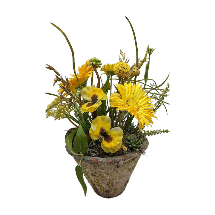 Freigestellt Sommergesteck Stiefmütterchen Gerbera Gräser gelb im Topf