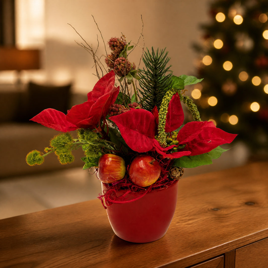 Szene Wintergesteck Weihnachtsstern Apfel Tanne rot grün