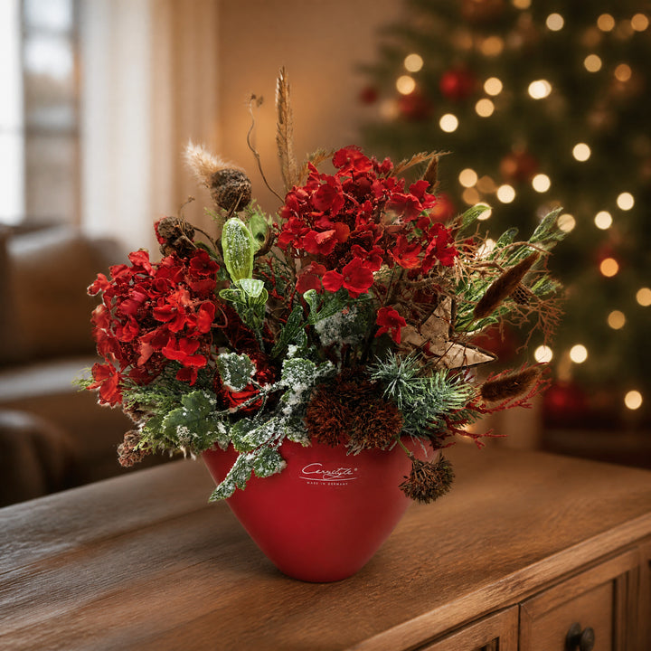 Szene Weihnachtsgesteck Hortensie Kugel Stern rot grün im roten Topf