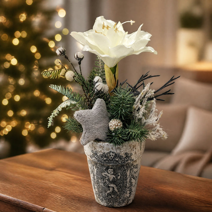 Szene Wintergesteck Amaryllis Stern Tanne weiß grau