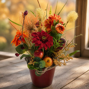 Szene Herbstgesteck Apfel Gerbera Spider rot orange im Topf