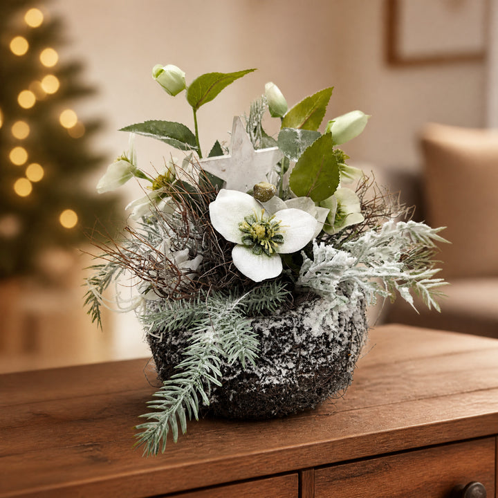 Szene Wintergesteck Christrosen Stern Tanne weiss grün