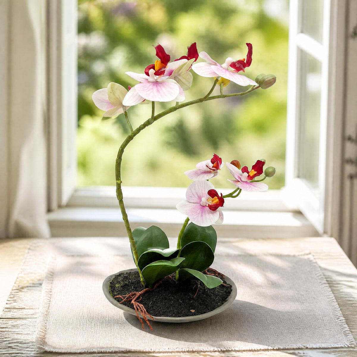 Szene Sommergesteck Tischgesteck Orchidee Schale rosa weiß