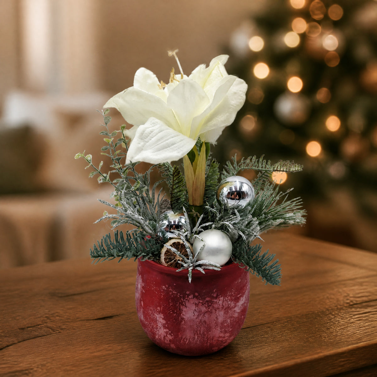 Szene Wintergesteck Weihnachtsgesteck Amaryllis Tanne Kugeln rot weiß