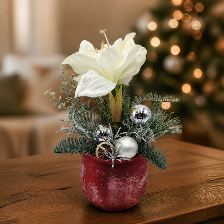 Szene Wintergesteck Weihnachtsgesteck Amaryllis Tanne Kugeln rot weiß