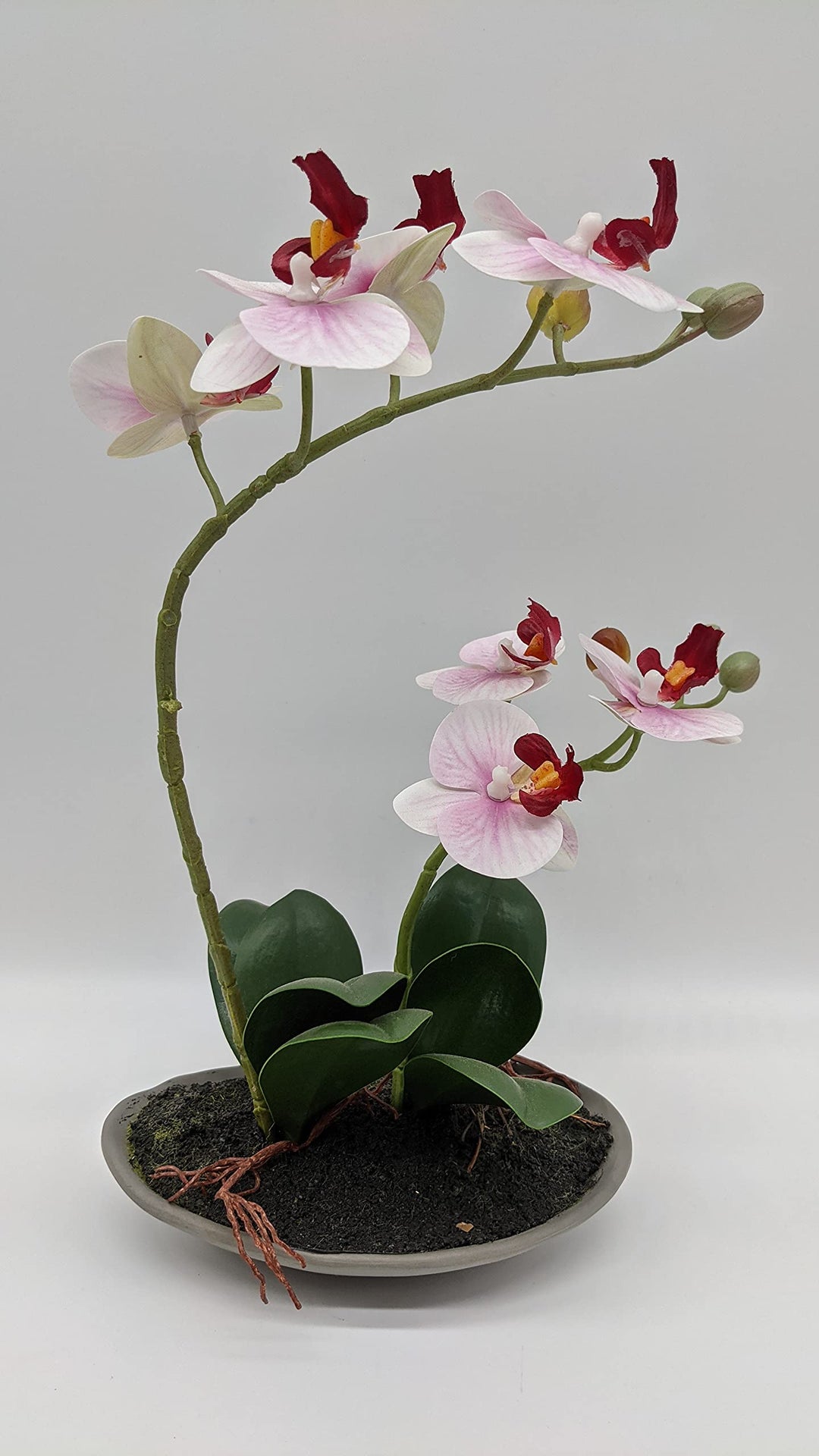 Sommergesteck Tischgesteck Orchidee Schale rosa weiß